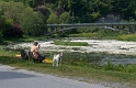 Tour Loire 05 - 201520150522_05226070 Kopie